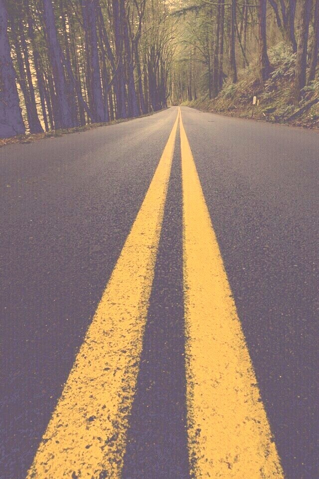 Дорога в лесу обои