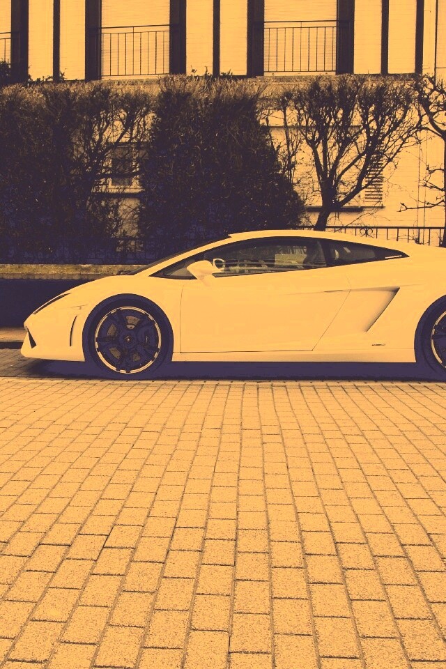 Белый Lamborghini обои