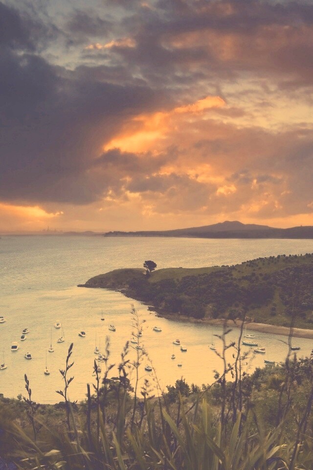 Waiheke Island, New Zealand обои