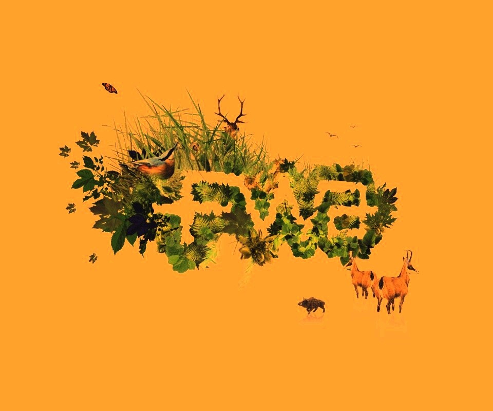 FWA обои