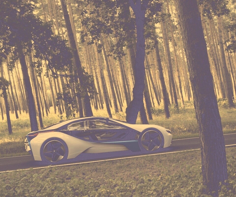 Спорткар BMW на лесной дороге обои