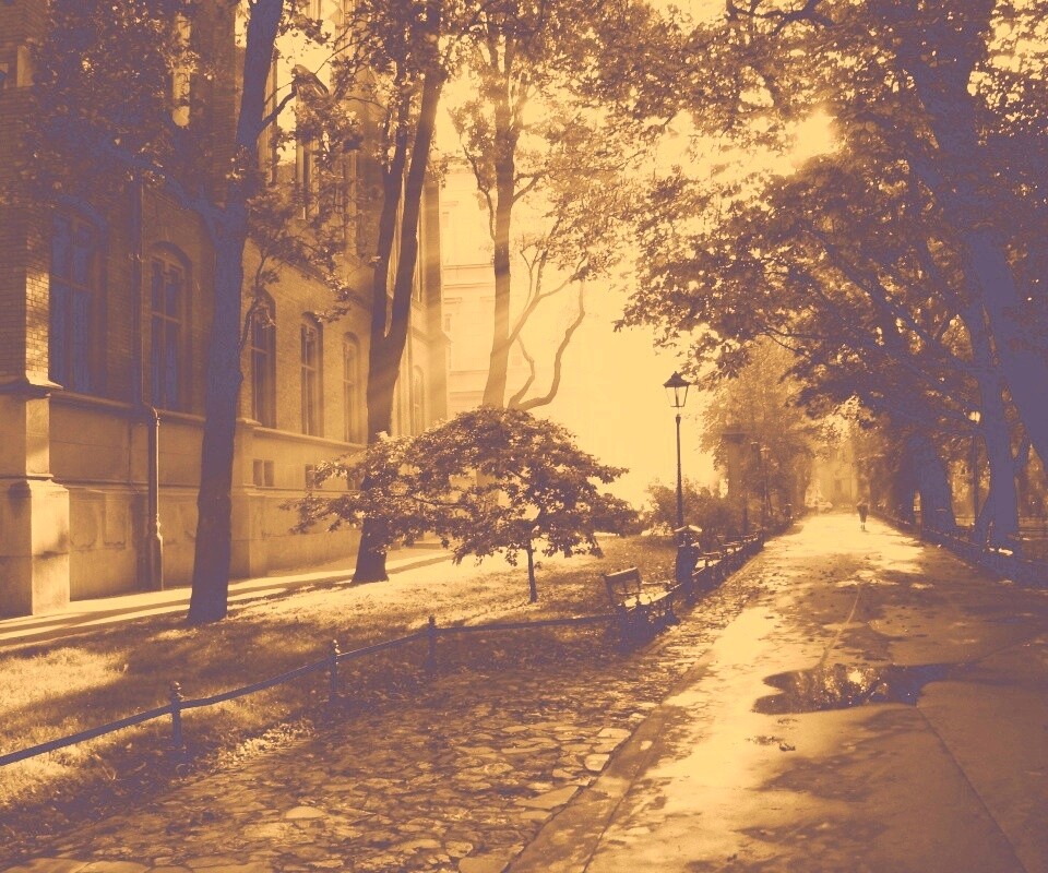 Аллея у здания обои