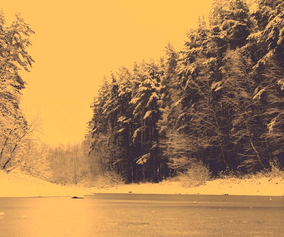 Зимняя дорога обои