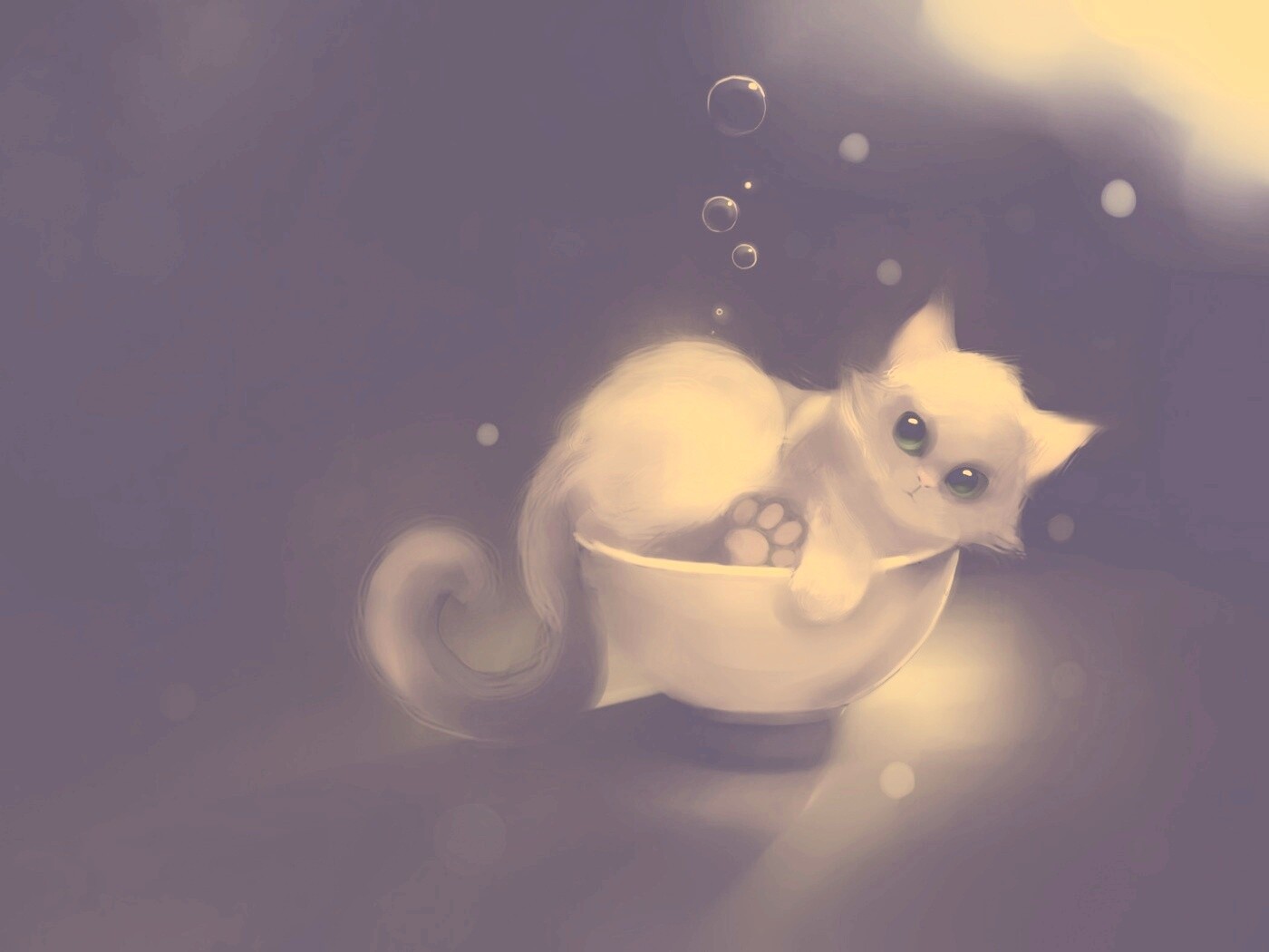 Котёнок в миске обои