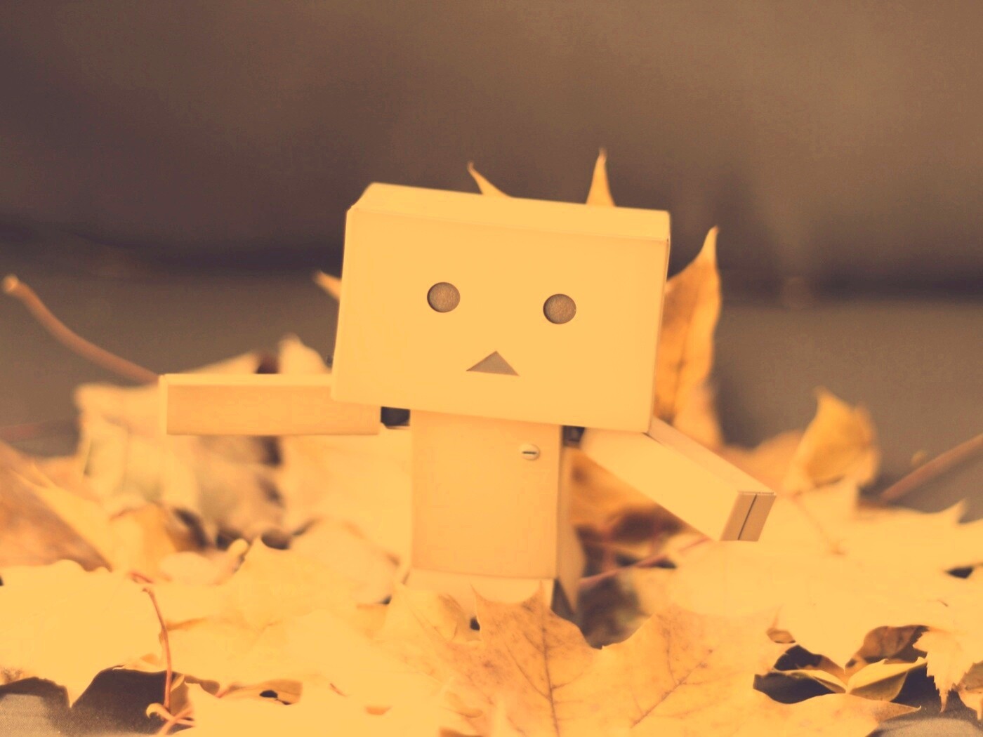  Yotsubato Danbo резвится листьях обои