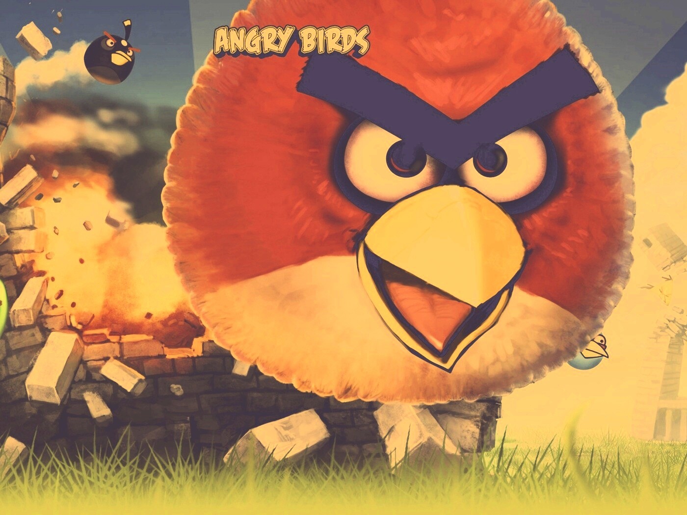 Angry Birds обои