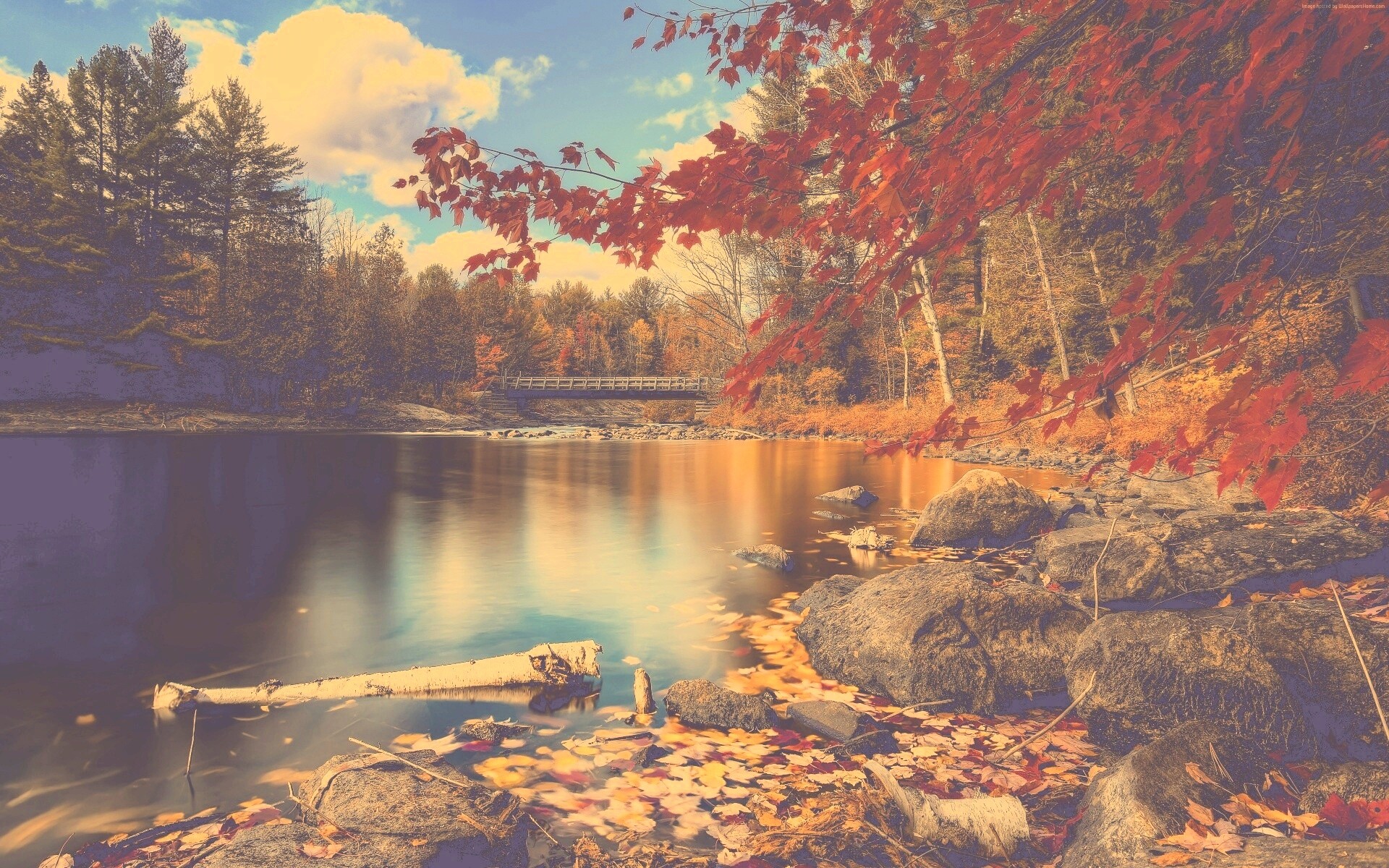 Осень лес озеро тишина красота фото