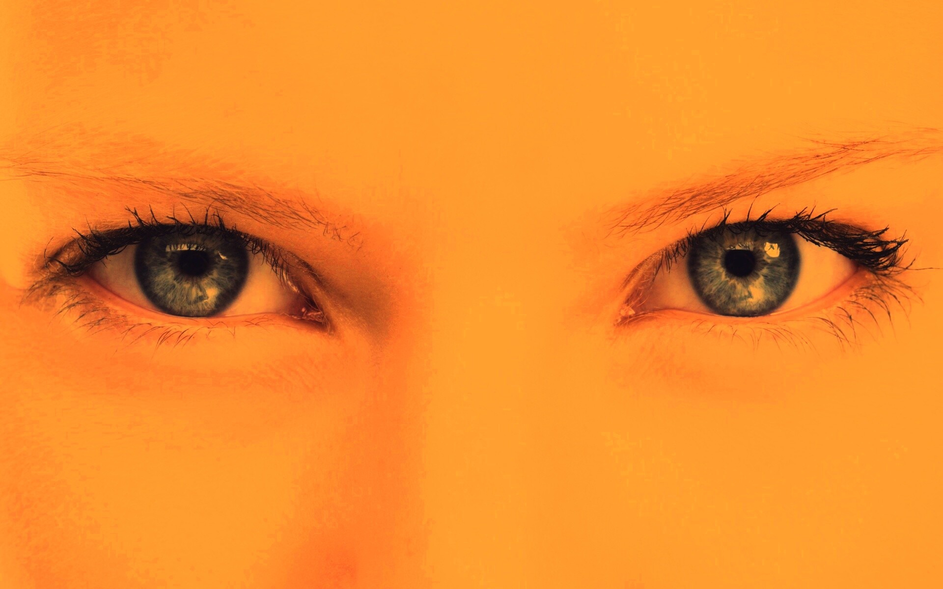 Она смотрит на тебя обои