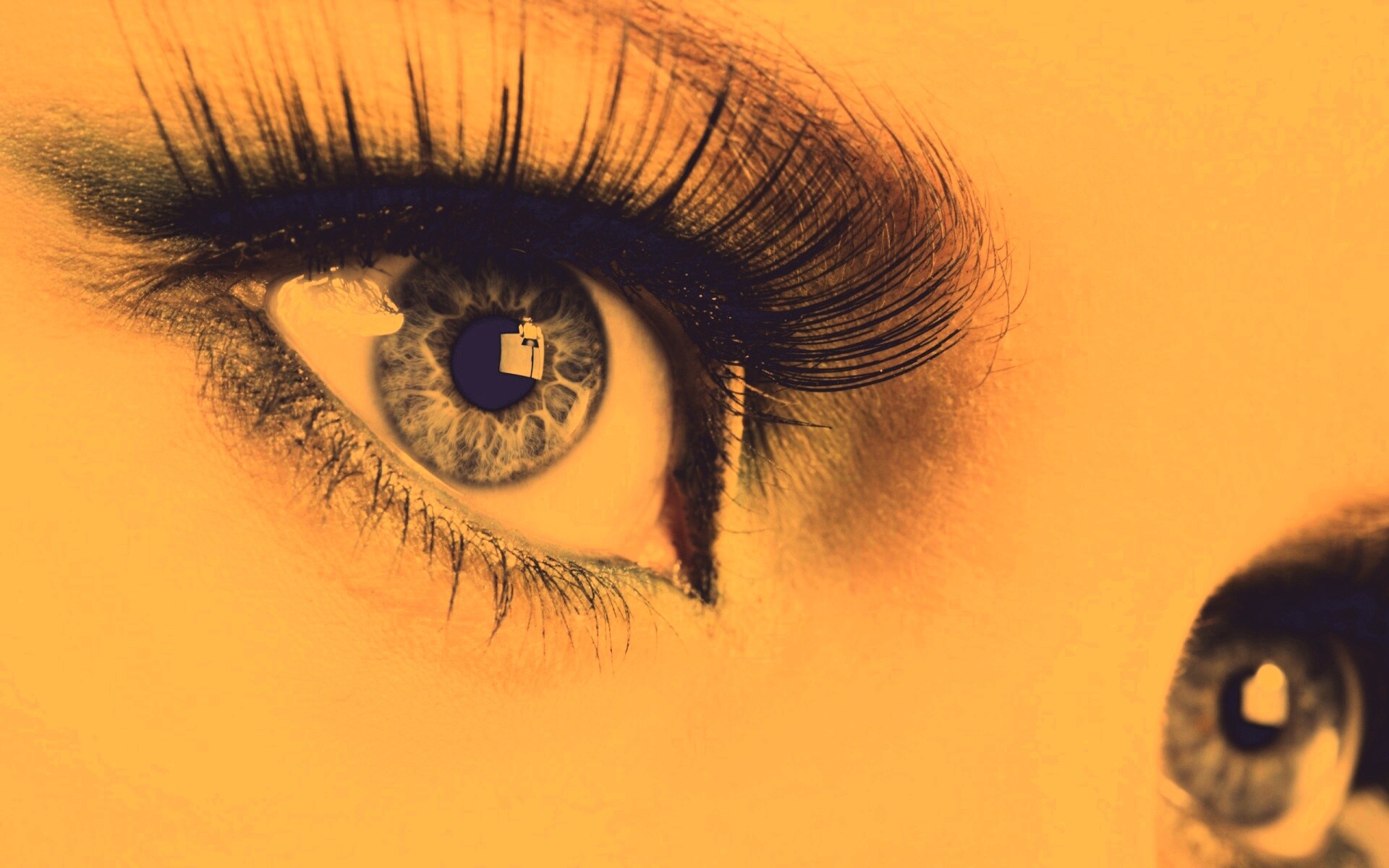 Глаза цвета стали обои