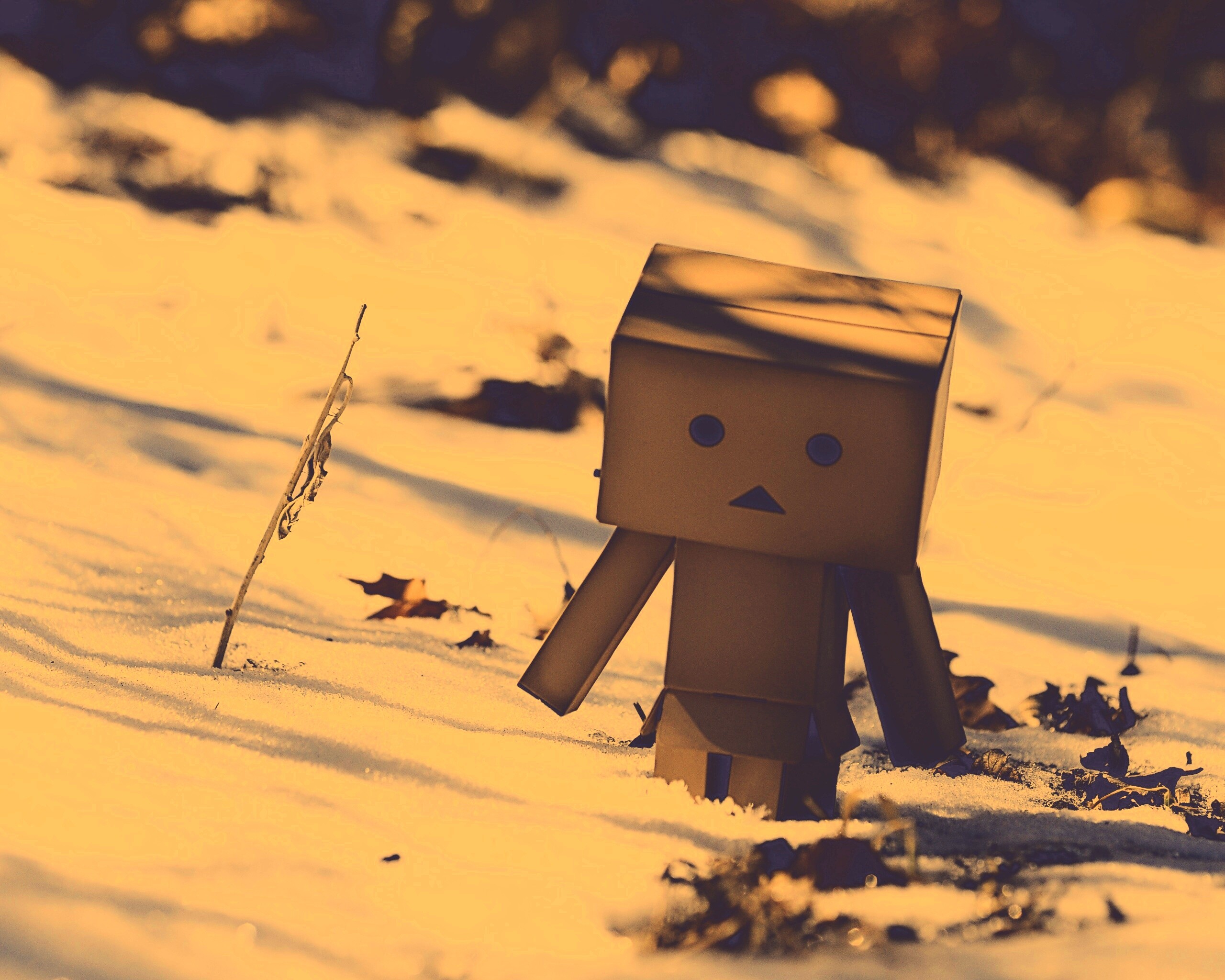 Данбо зиомой обои