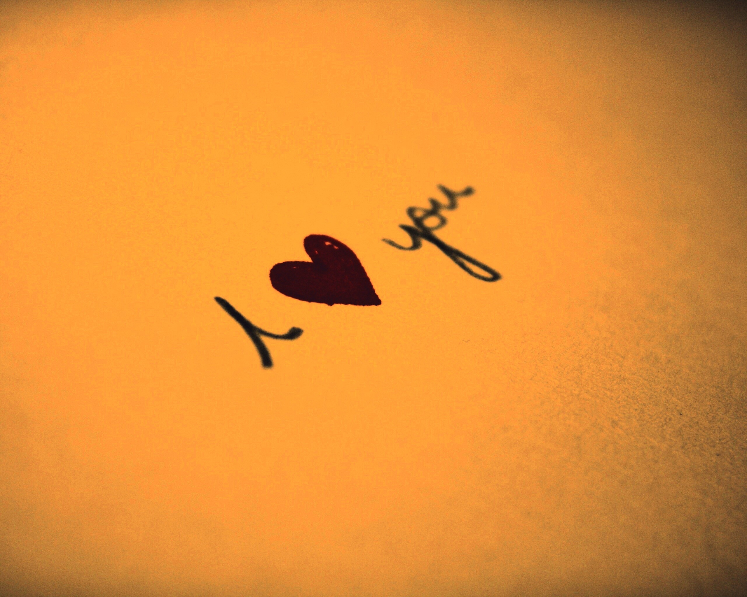 I love you обои