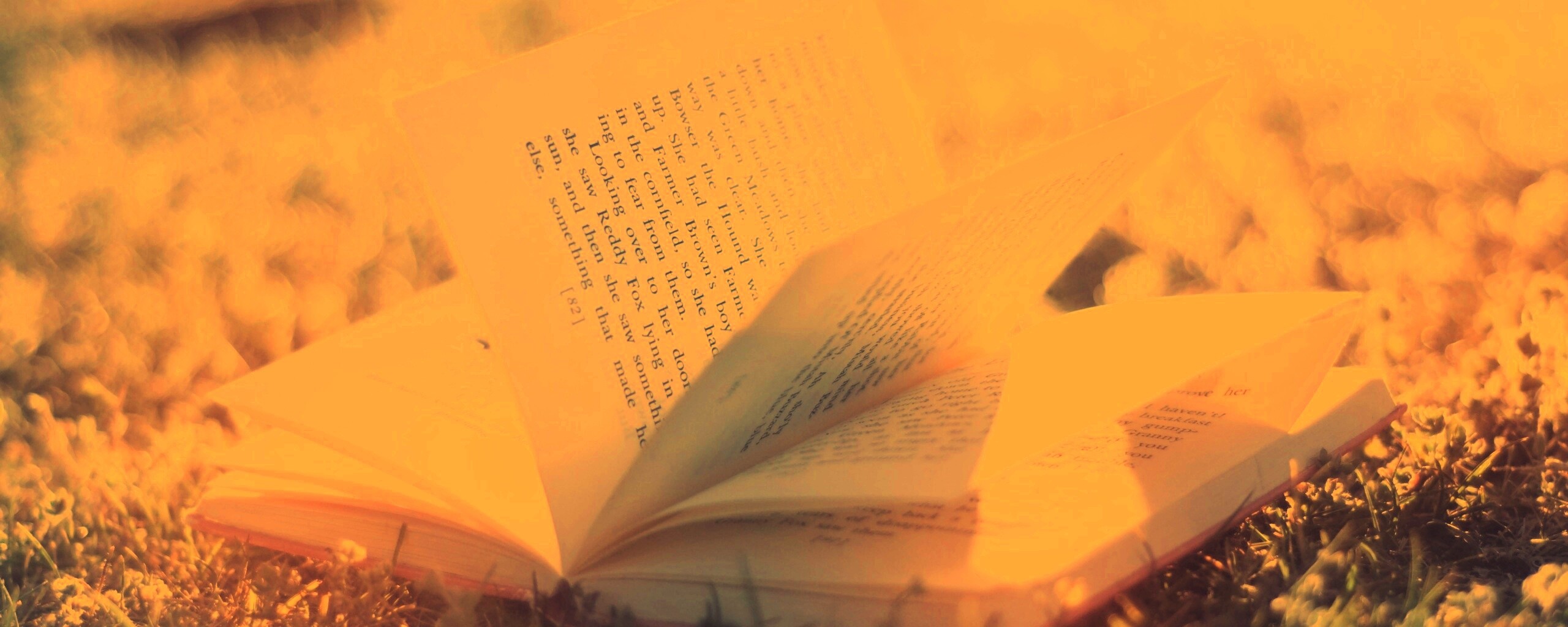 Книга в нежном свете обои