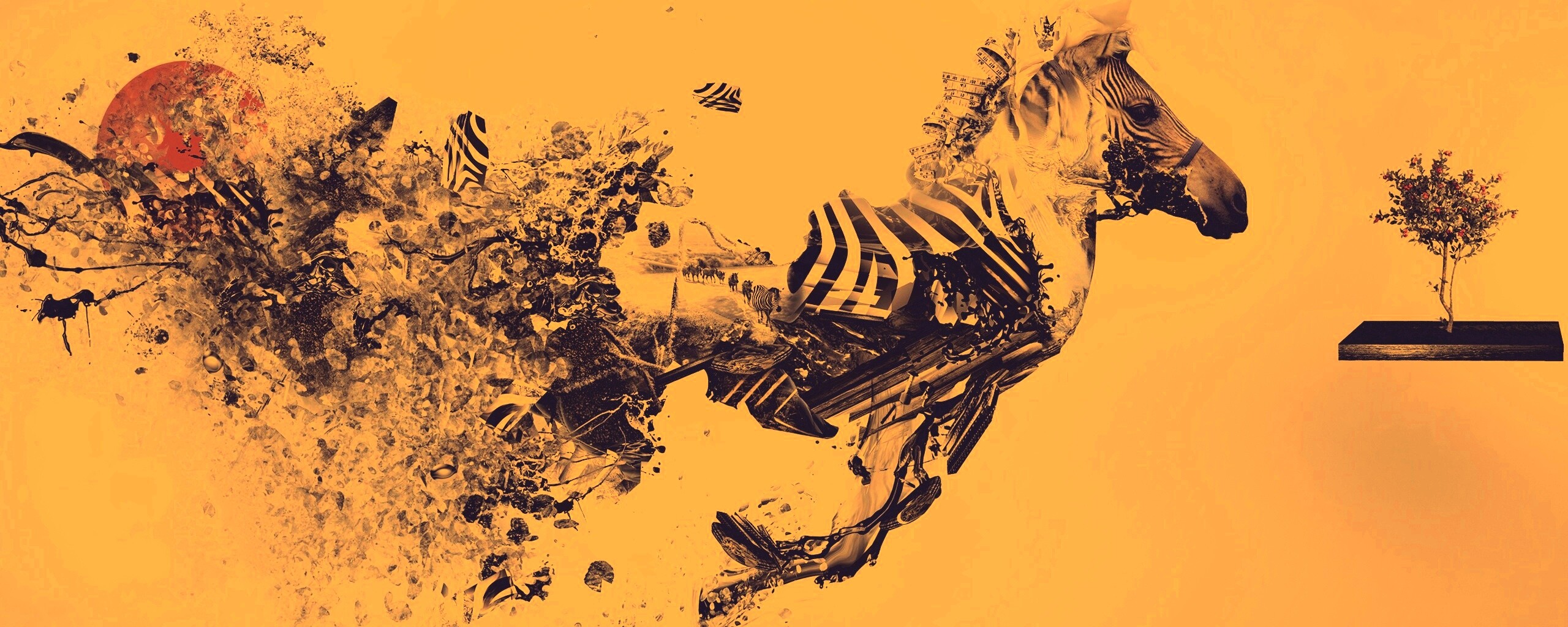 Зебра и бонсай обои