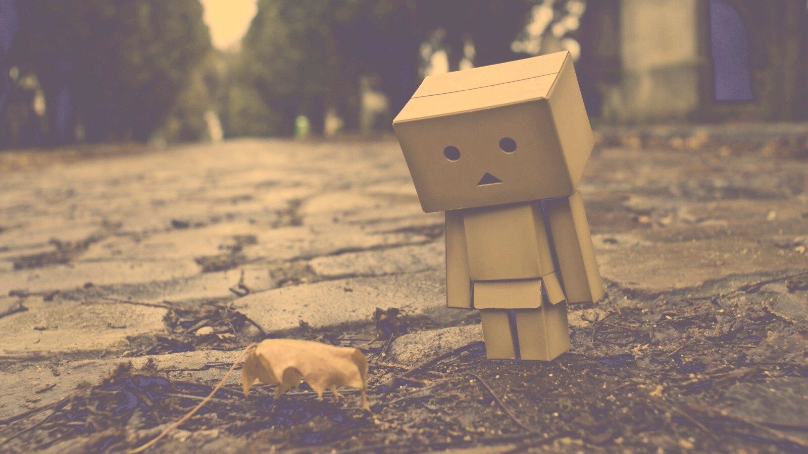 Danbo и первый осенний лист обои
