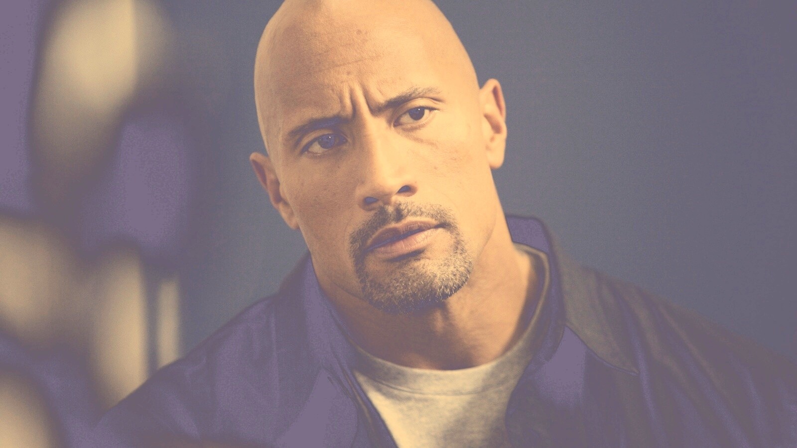 Dwayne johnson, Actor, Bald, Hair, Celebrity обои