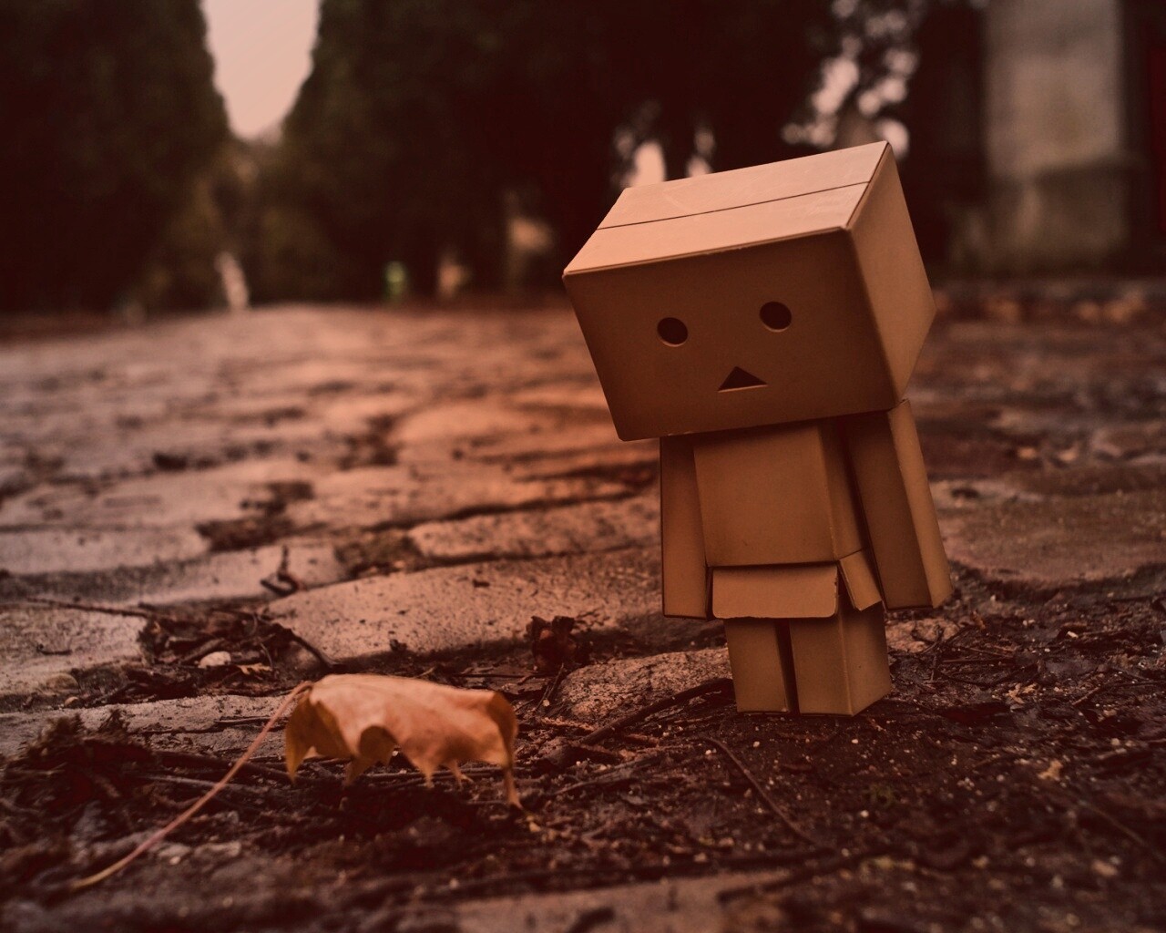 Danbo и первый осенний лист обои