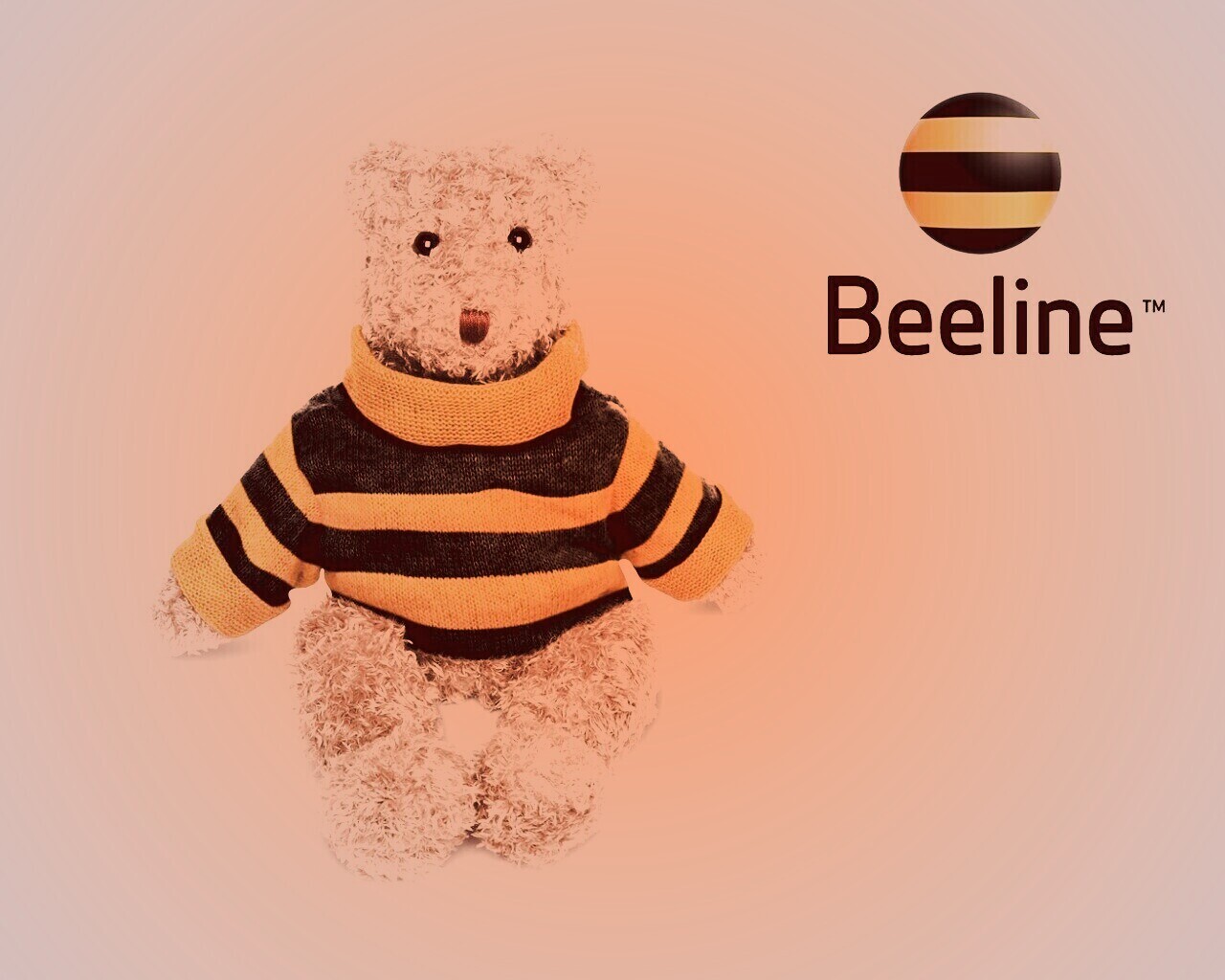 Мишка beeline обои