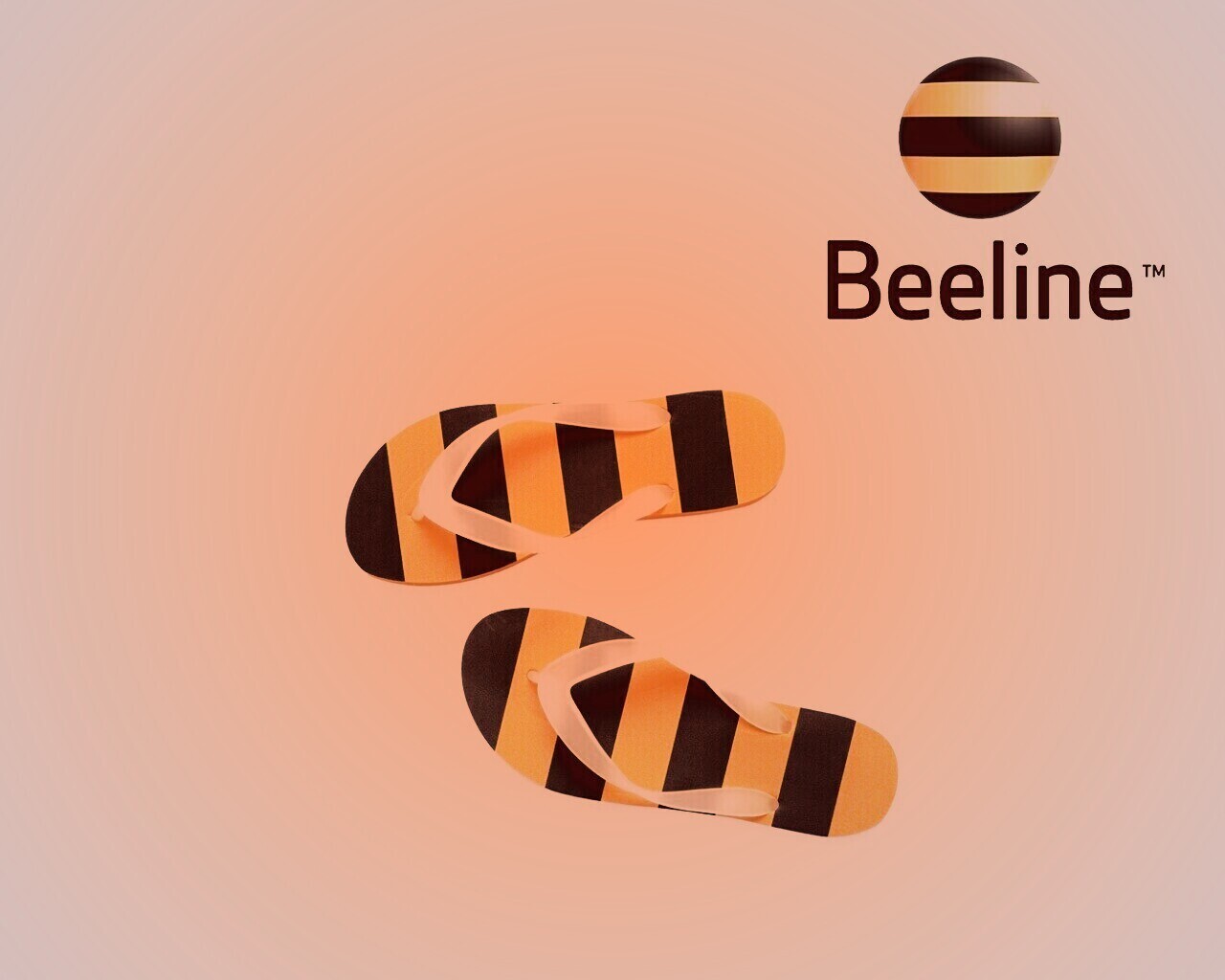 Тапки beeline обои