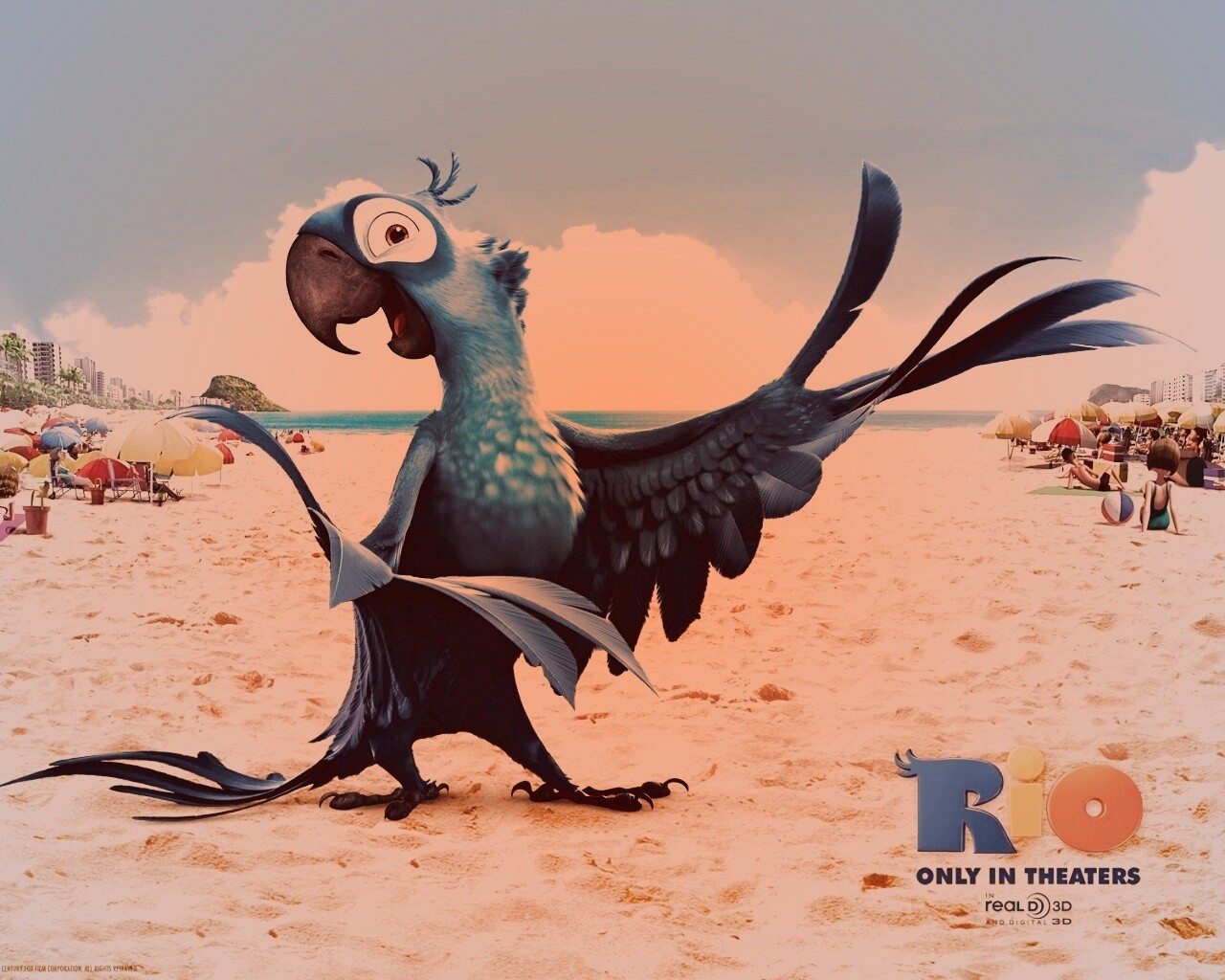 Blu из Rio обои