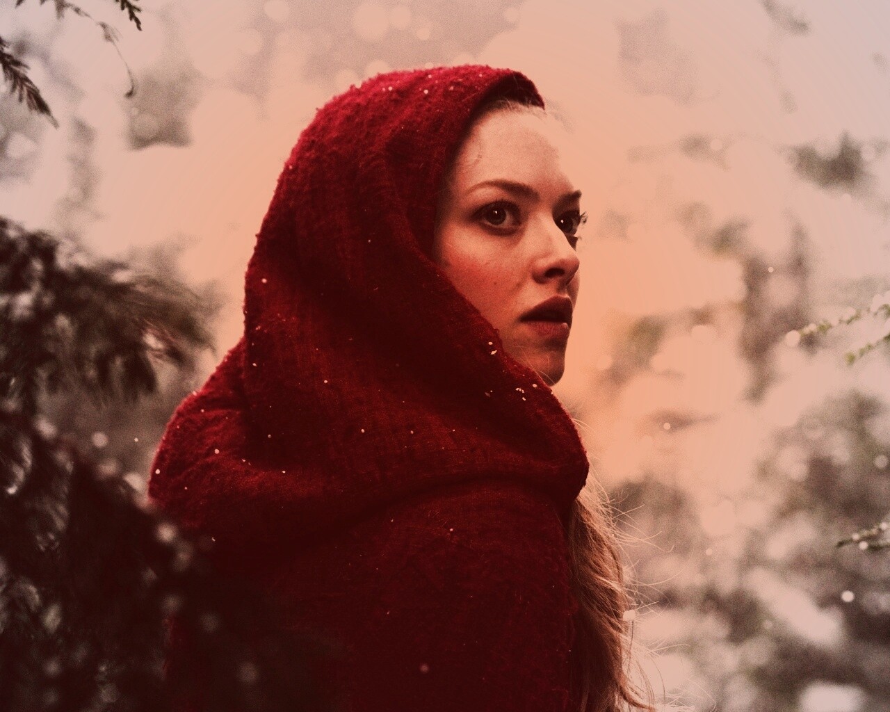 Amanda Seyfried in Red Riding Hood обои
