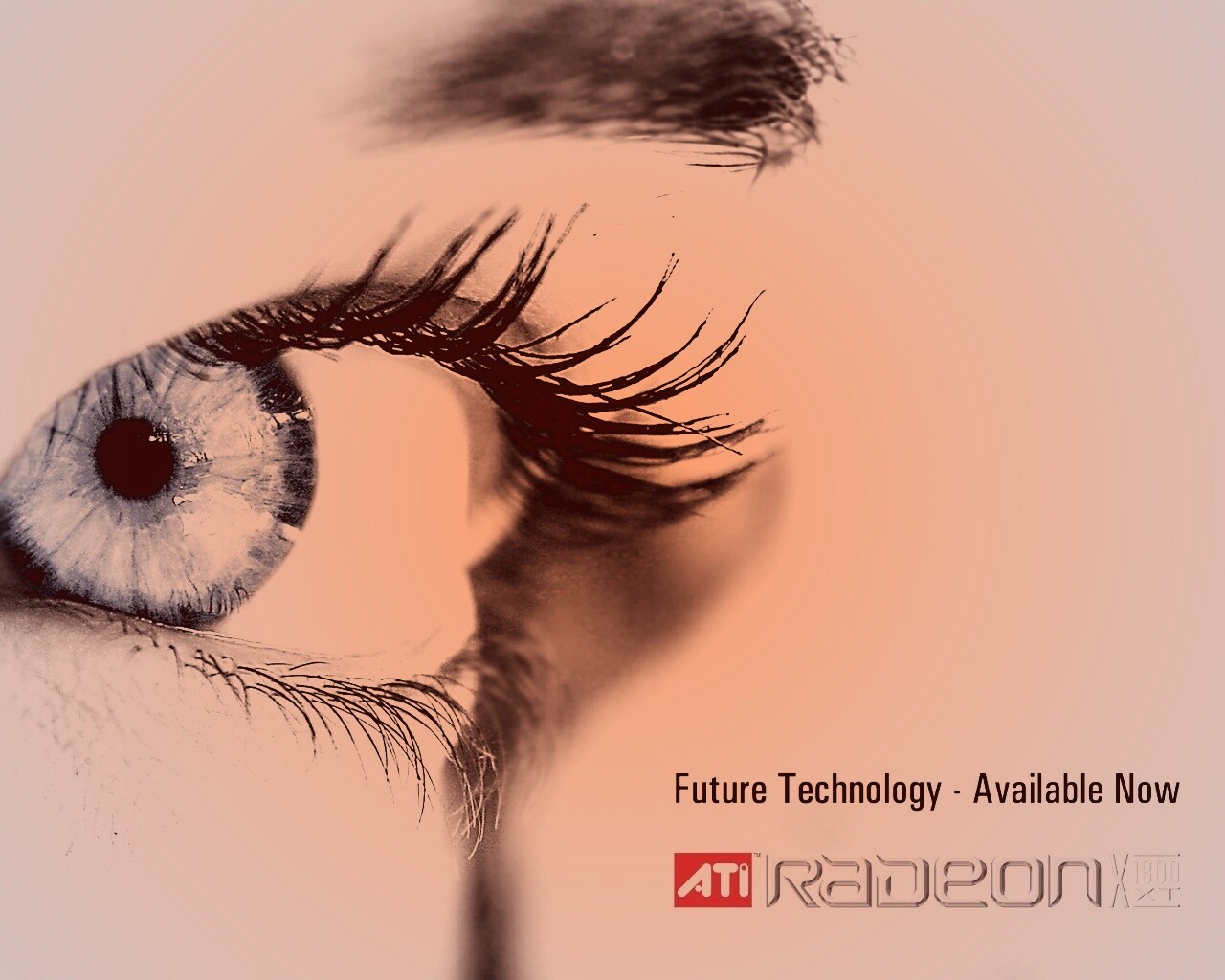 Ati Radeon Future Technology - available now обои