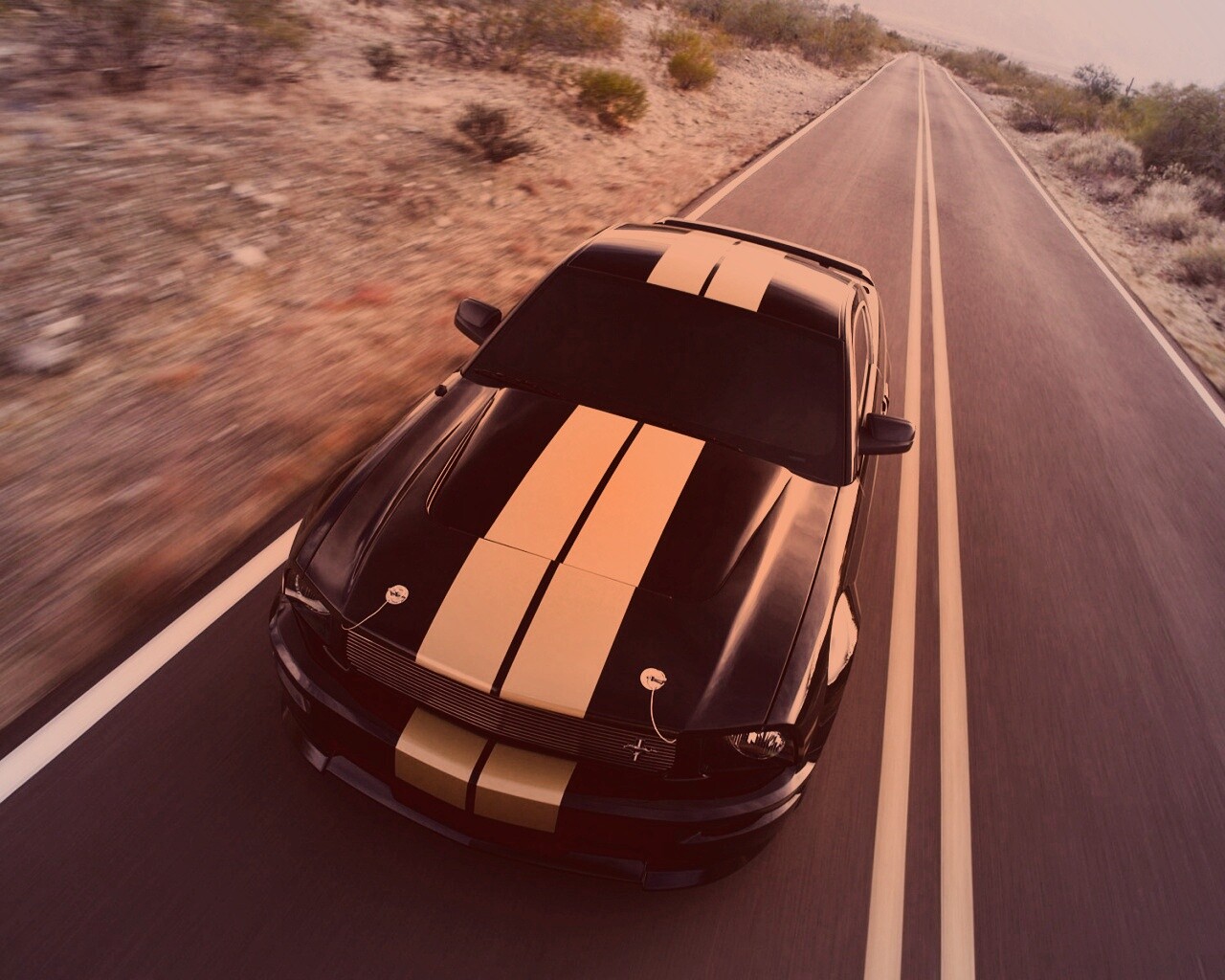 Ford Mustang  с гоночными полосками обои