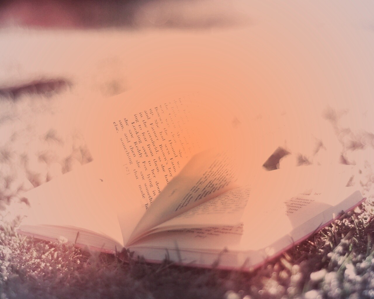 Книга в нежном свете обои