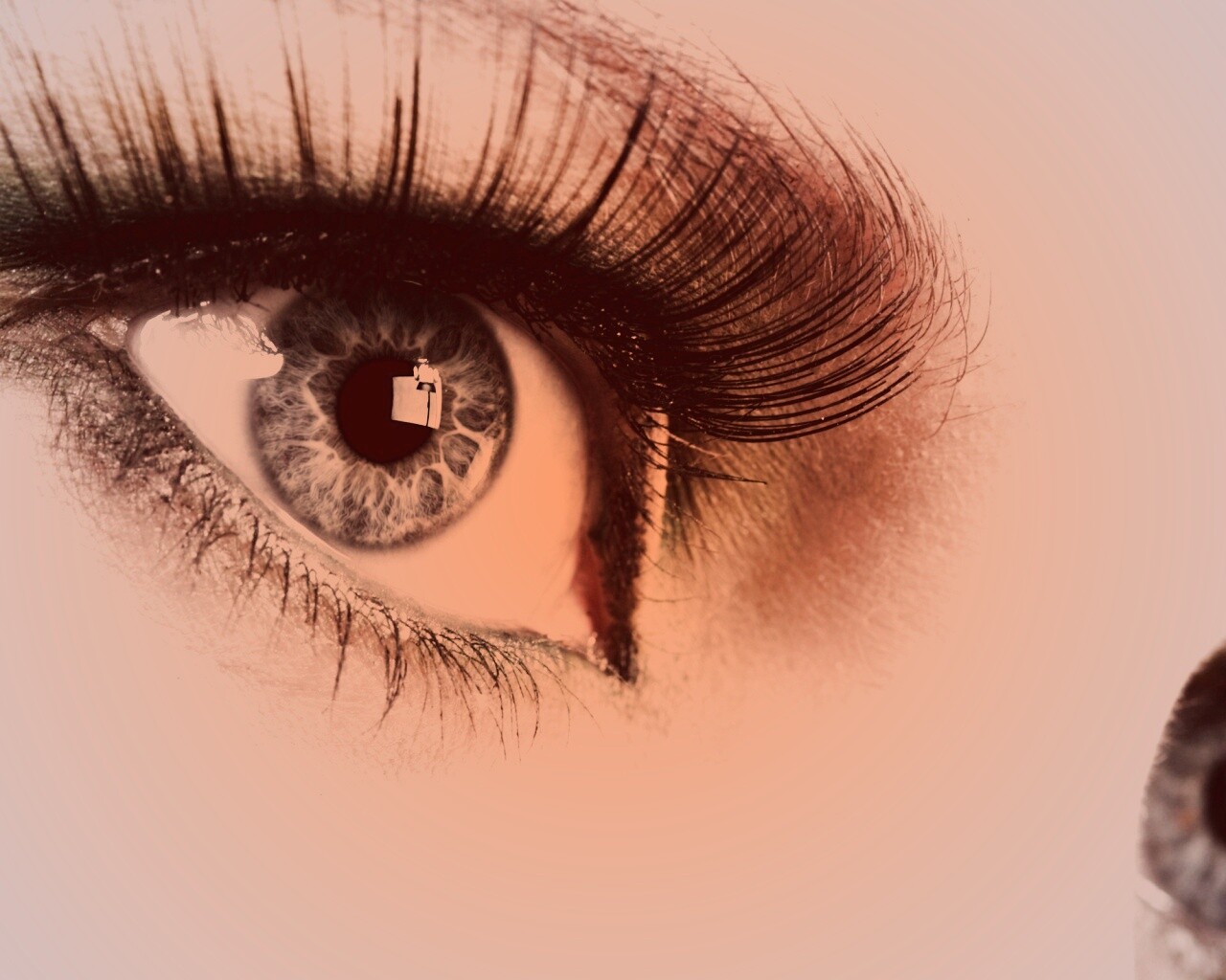 Глаза цвета стали обои