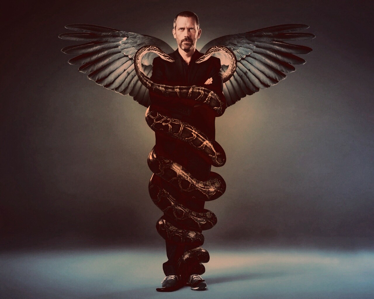 Заставка шестого сезона HOUSE M.D. обои