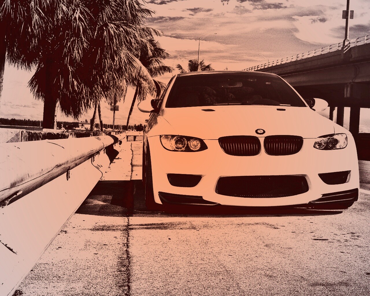 BMW в тропиках обои