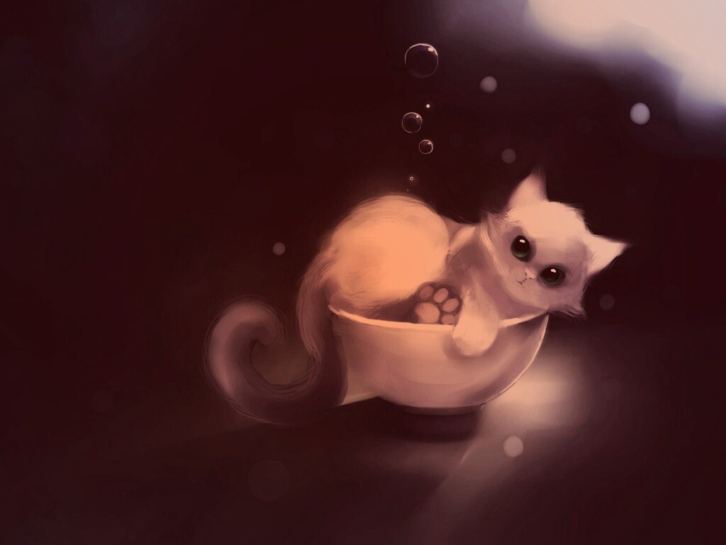 Котёнок в миске обои