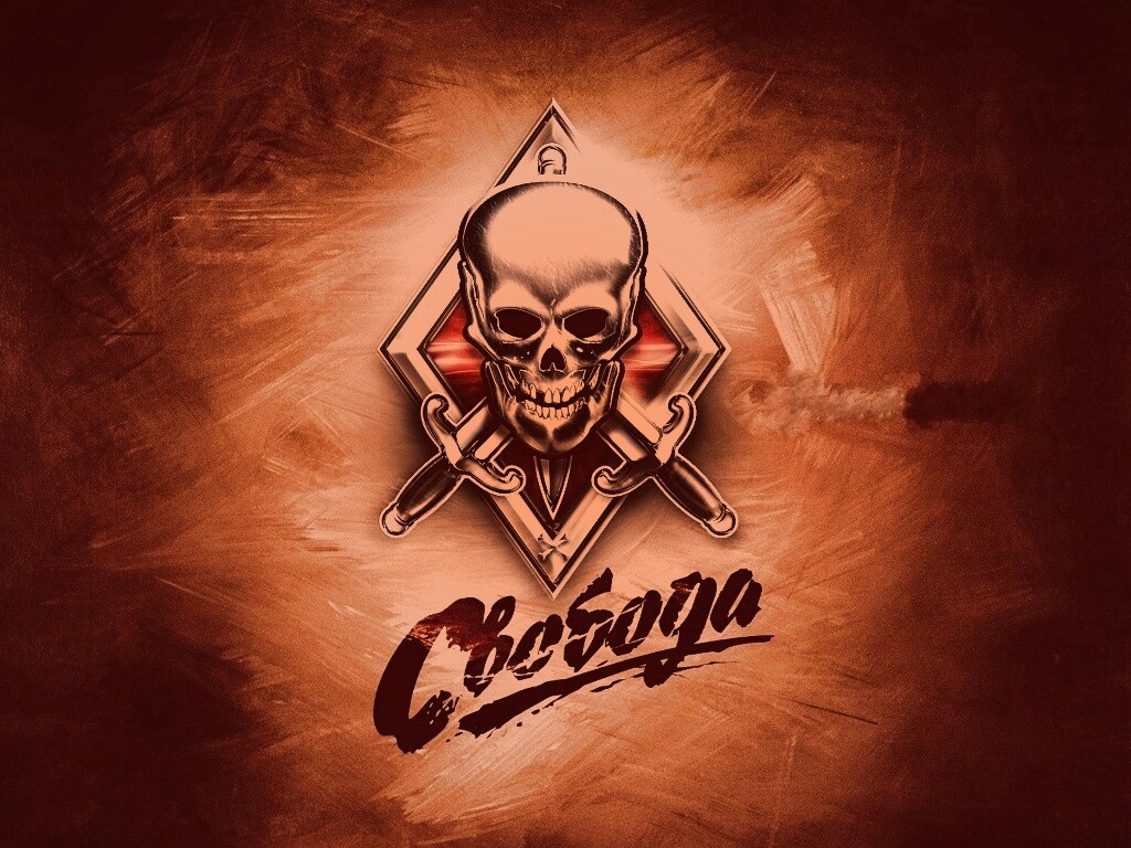 Группировка Свобода из STALKER обои