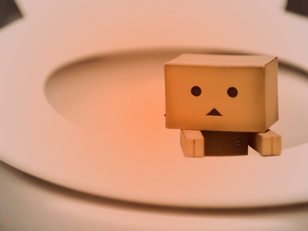 Danbo в унитазе обои