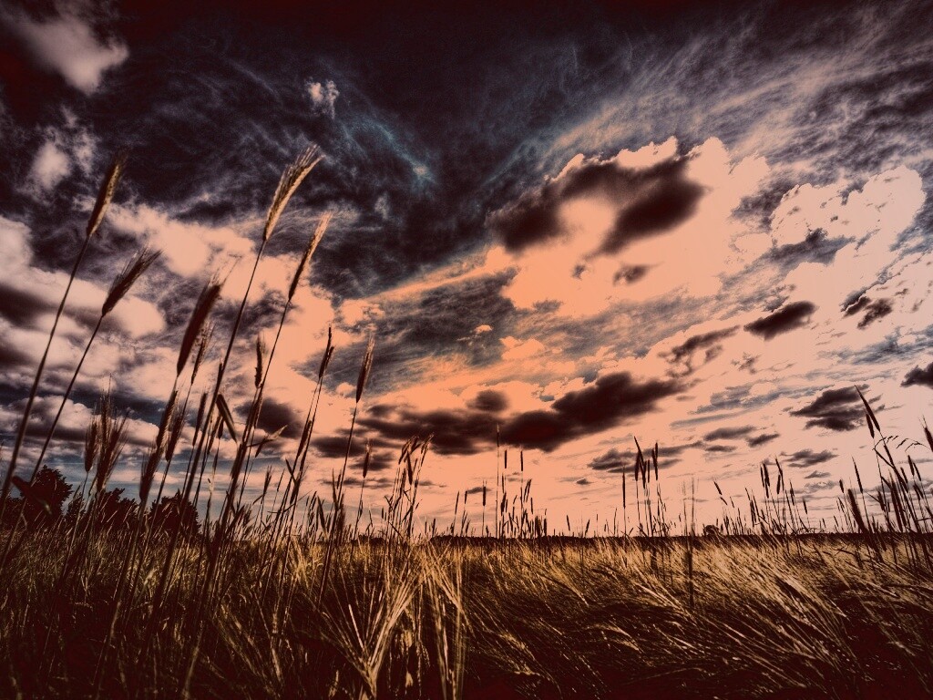 HDR Поле обои
