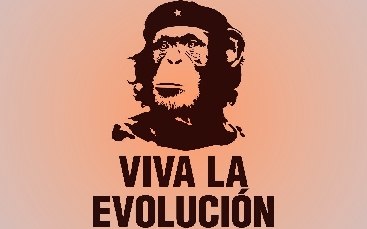 Viva la evolucion обои