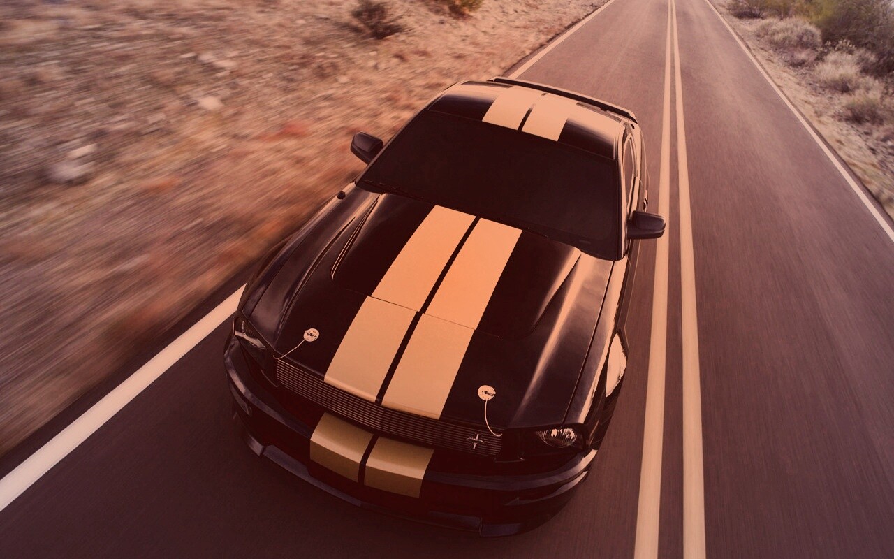 Ford Mustang  с гоночными полосками обои