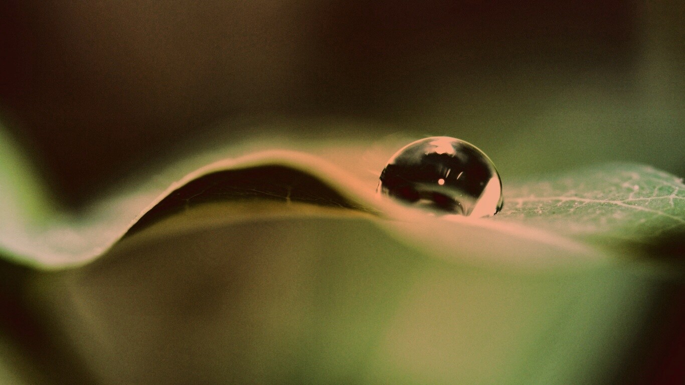 Фотография капли воды в макро обои