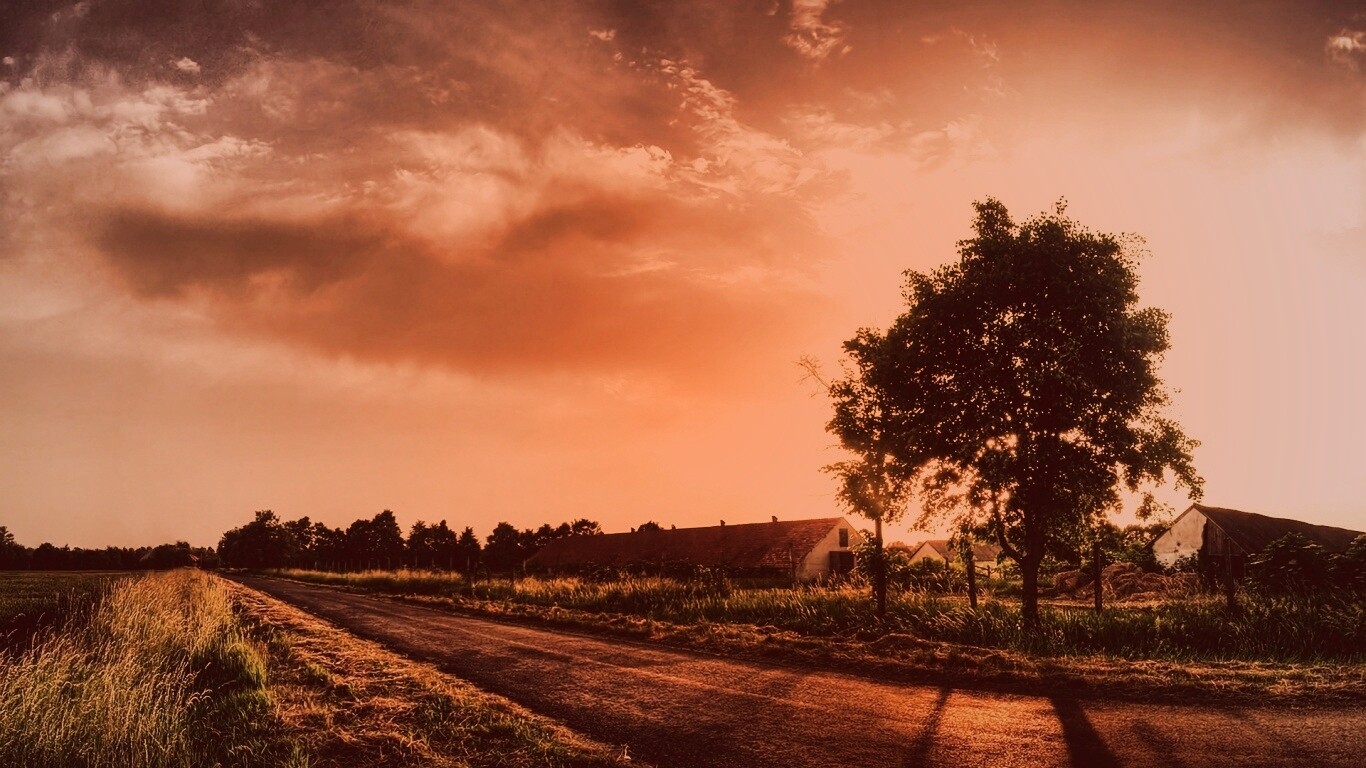 Закат на фоне дерева в HDR обои