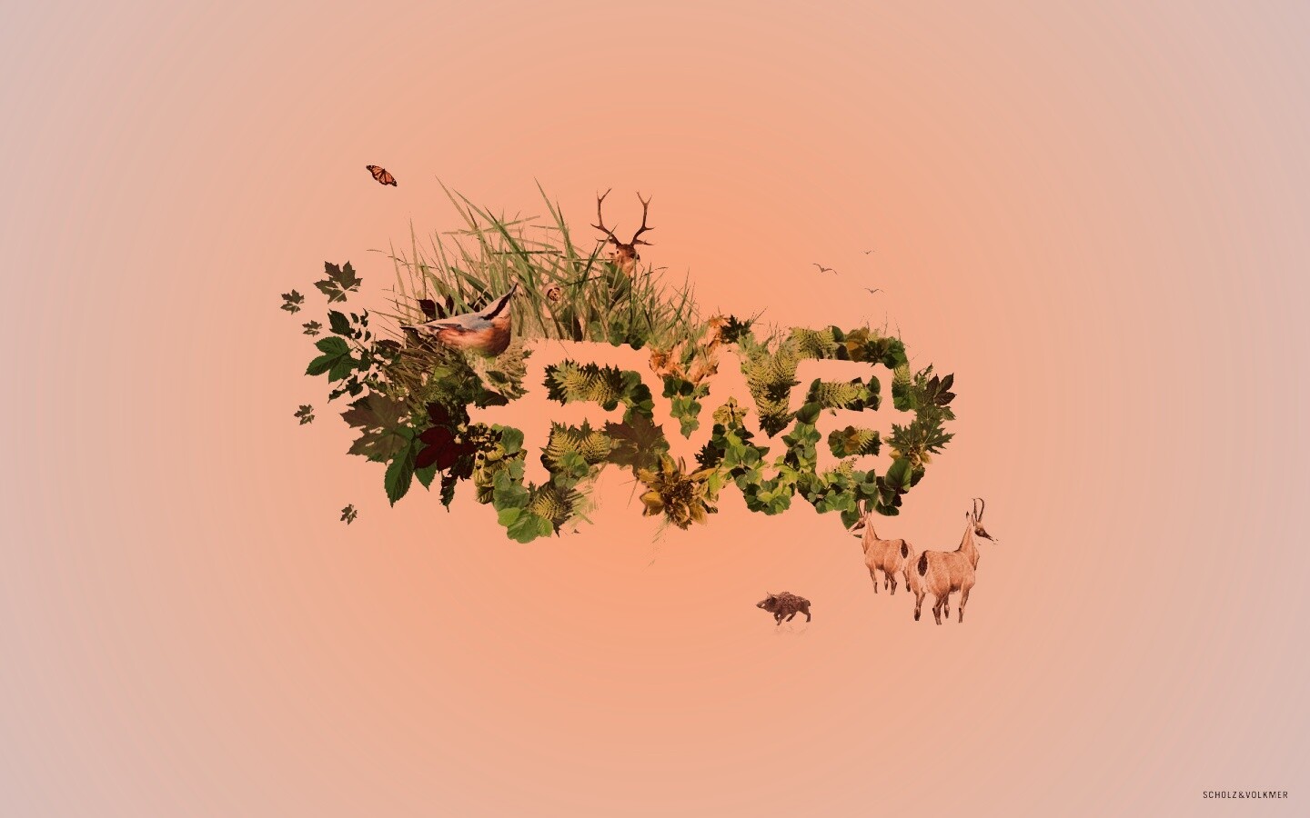 FWA обои