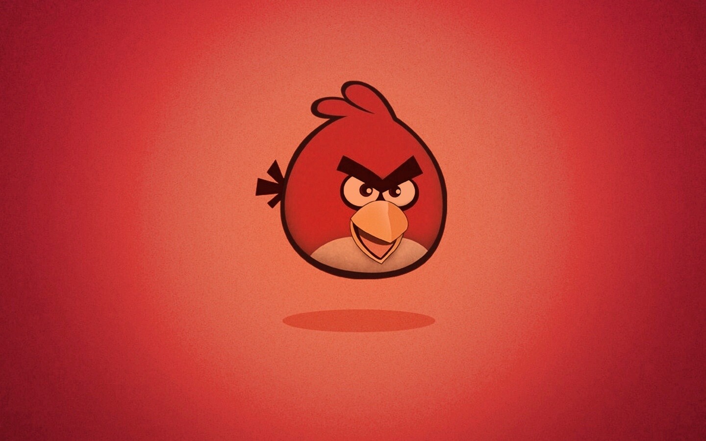 Красная птица из Angry Birds обои