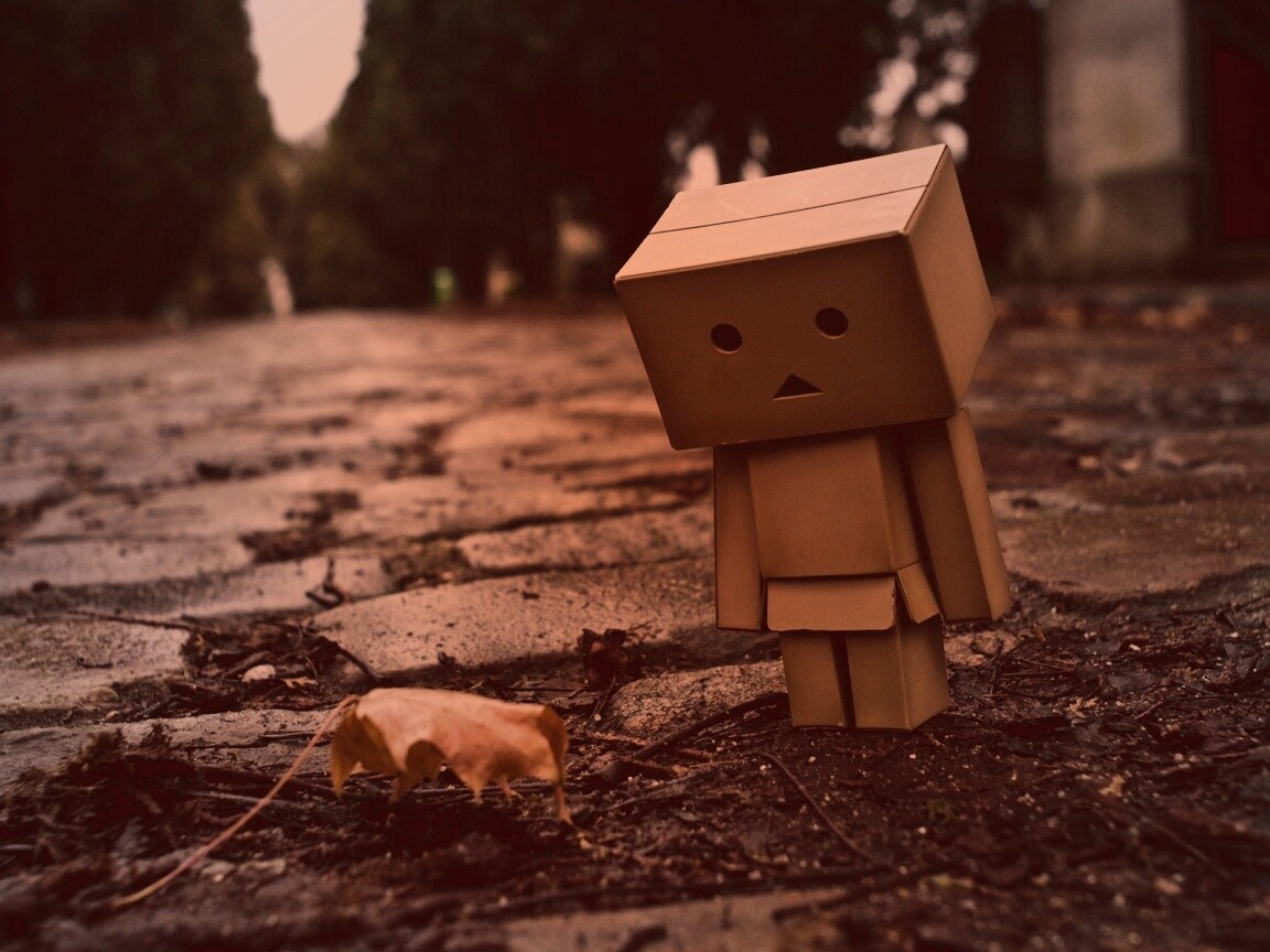 Danbo и первый осенний лист обои