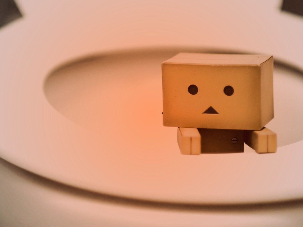 Danbo в унитазе обои