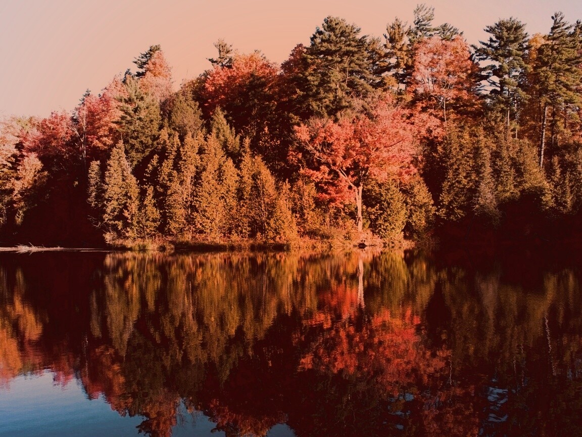 Осенний пейзаж обои