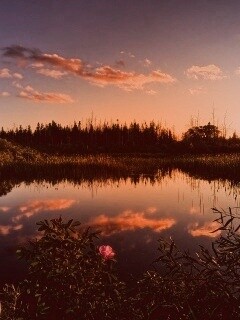 Вечерний закат обои