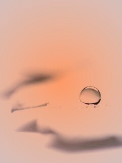 Капля на замёрзжем листе обои