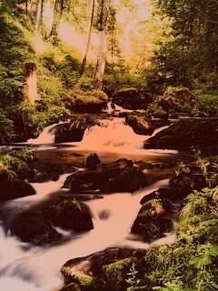 Живописный лесной водопад обои