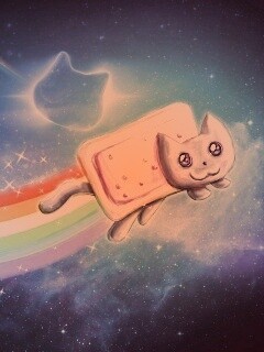 Nyan cat обои