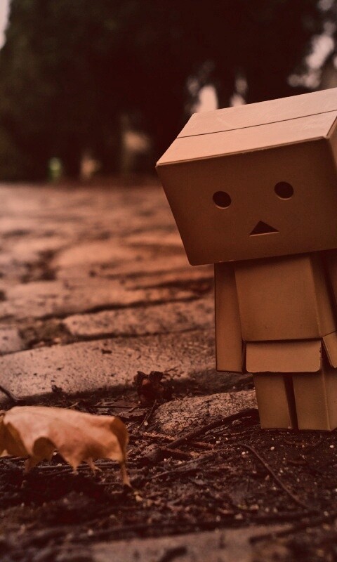 Danbo и первый осенний лист обои