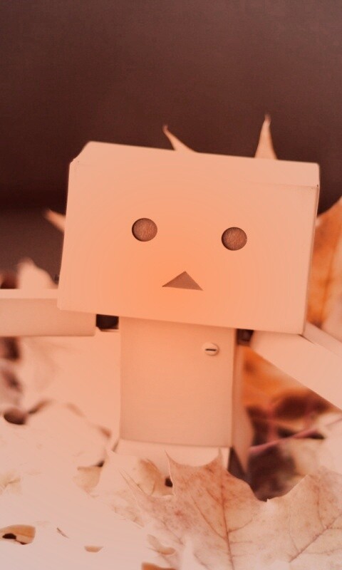  Yotsubato Danbo резвится листьях обои