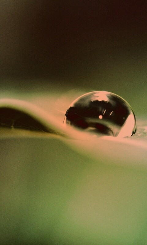 Фотография капли воды в макро обои